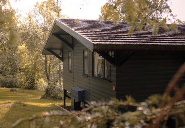 Chalet in Drumnadrochit - Thistle Cabin at Ancarraig Lodges, Loch Ness