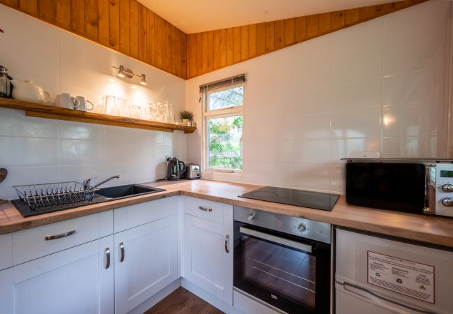 Chalet in Drumnadrochit - Thistle Cabin at Ancarraig Lodges, Loch Ness