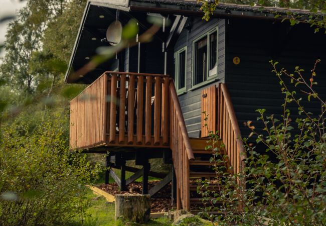 Chalet in Drumnadrochit - Thistle Cabin at Ancarraig Lodges, Loch Ness