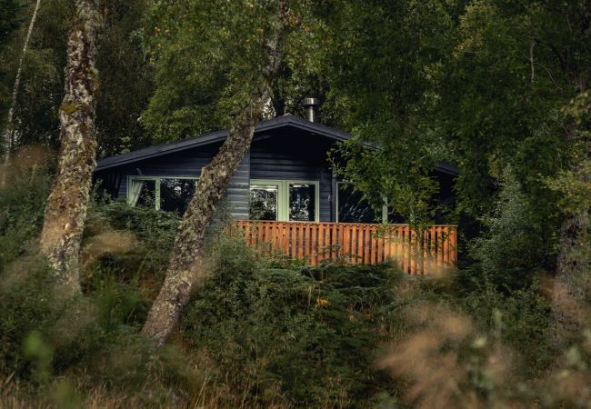Chalet in Drumnadrochit - Thistle Cabin at Ancarraig Lodges, Loch Ness