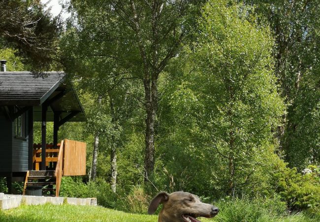 Chalet in Drumnadrochit - Rosemoor Cabin at Ancarraig Lodges, Loch Ness