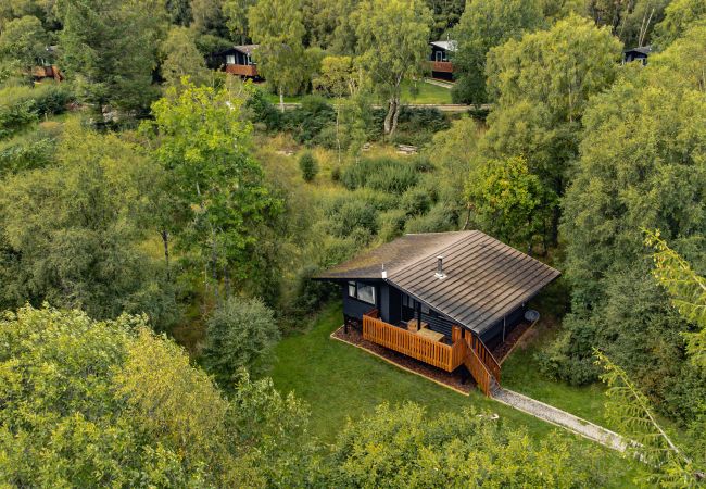 Chalet in Drumnadrochit - Rosemoor Cabin at Ancarraig Lodges, Loch Ness Chalet in Drumnadrochit - Rosemoor Cabin at Ancarraig Lodges, Loch Ness