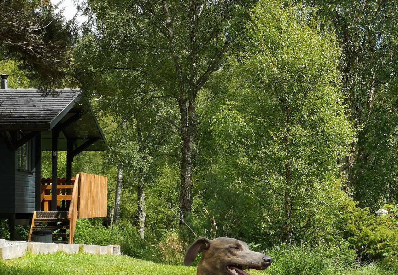 Chalet in Drumnadrochit - The Wood Hatch Cabin at Ancarraig Lodges, Loch Ness