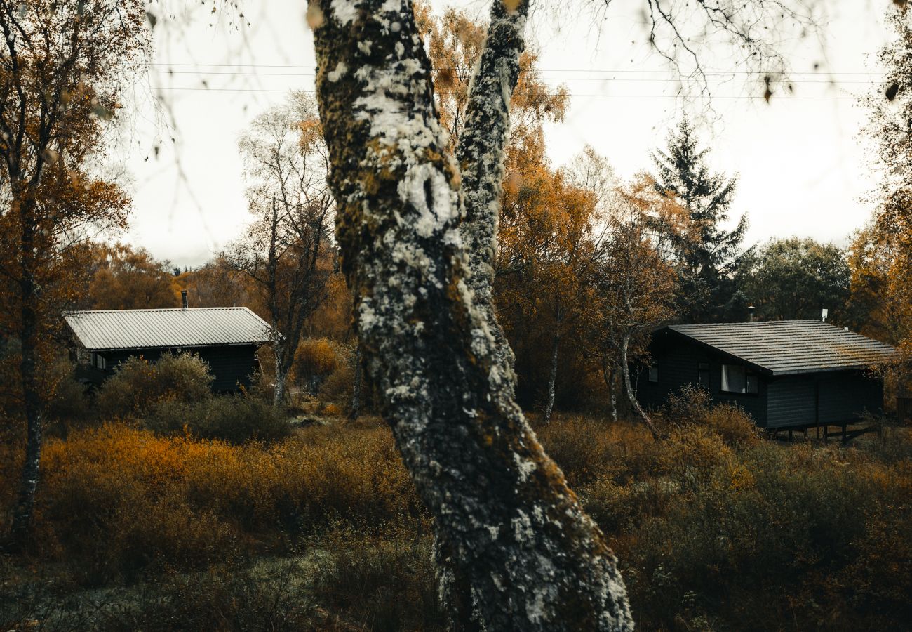 Chalet in Drumnadrochit - The Wood Hatch Cabin at Ancarraig Lodges, Loch Ness